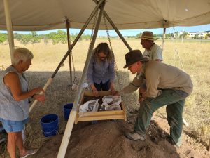 people sifting through dirt looking for artifacts